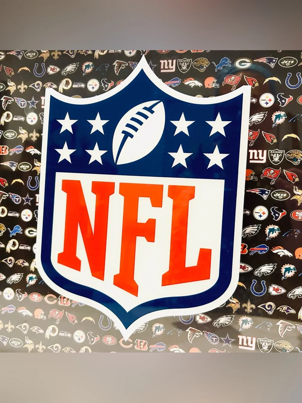 NFL Framed Wall Art Man Cave Dorm Decor Football Team Logos Shadow Box 16x16